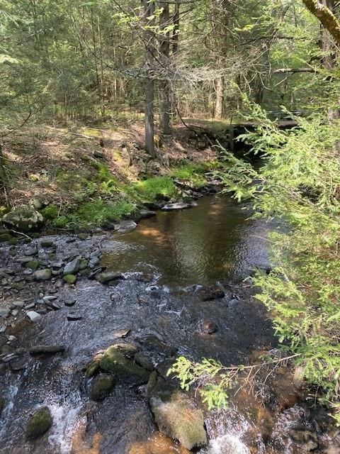 Single Family Hollow  Sullivan County, NY 12737, MLS-890697-8