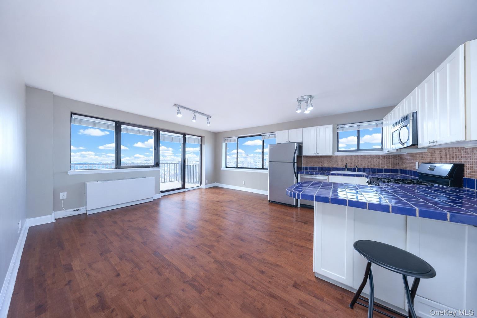 Condo 64th  Brooklyn, NY 11220, MLS-890740-3