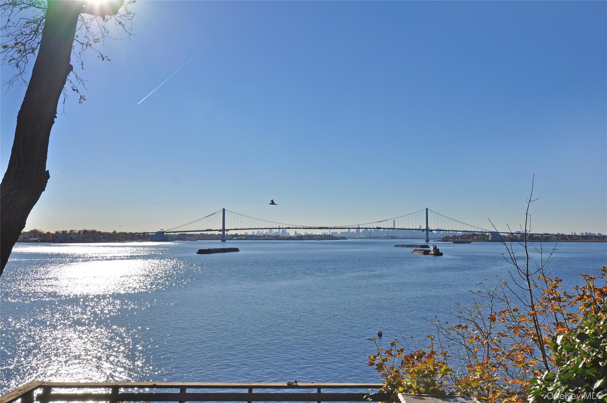 Coop Aster  Bronx, NY 10465, MLS-890819-37