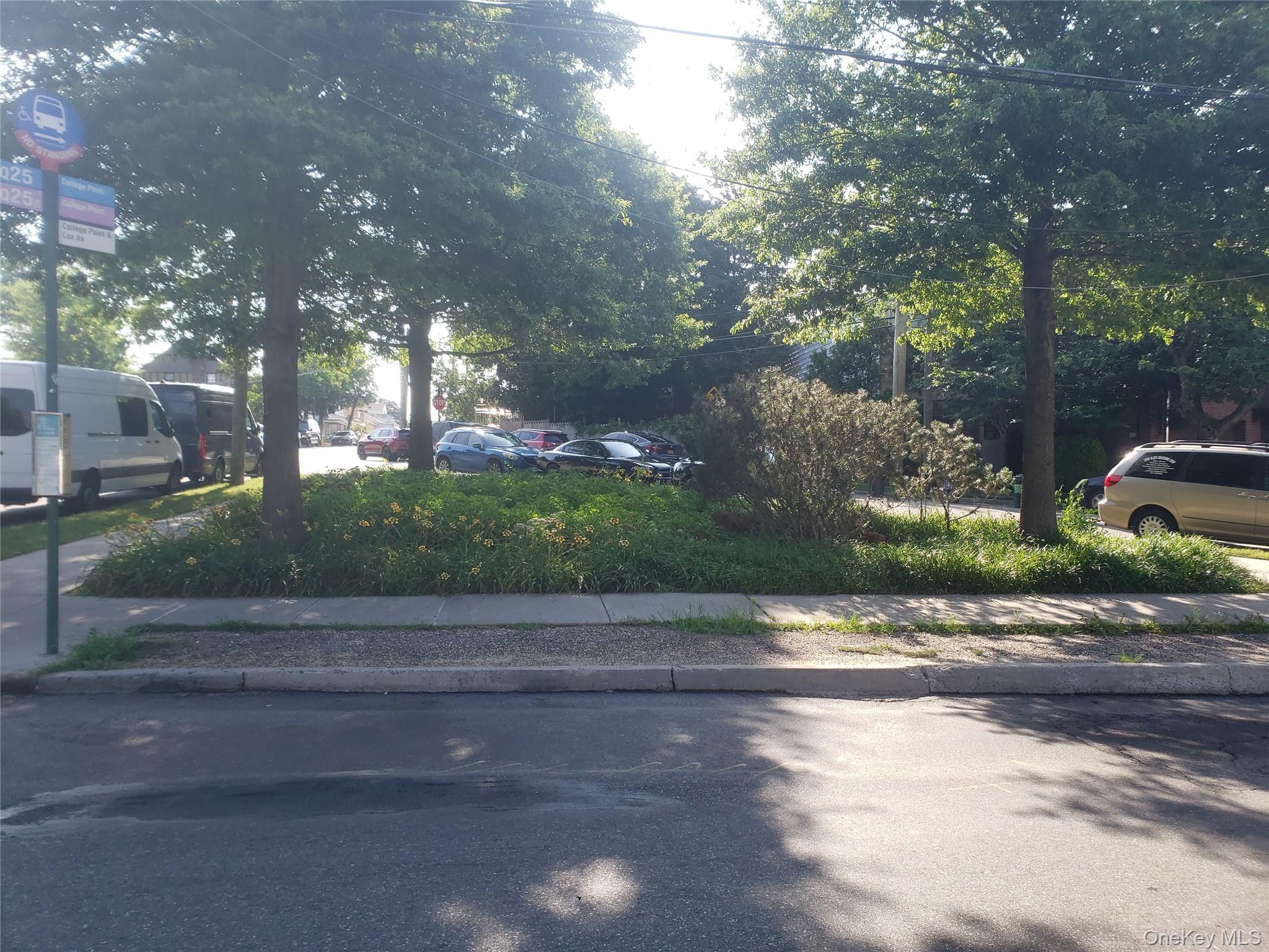 Land College Point Blvd  Queens, NY , MLS-891112-4