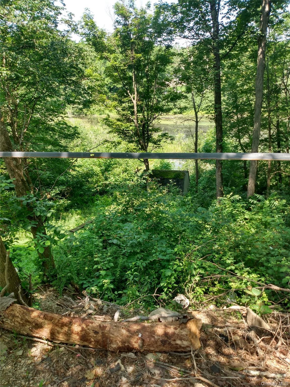 Single Family Lake Claire Orange County, NY 10940, MLS-891226-3