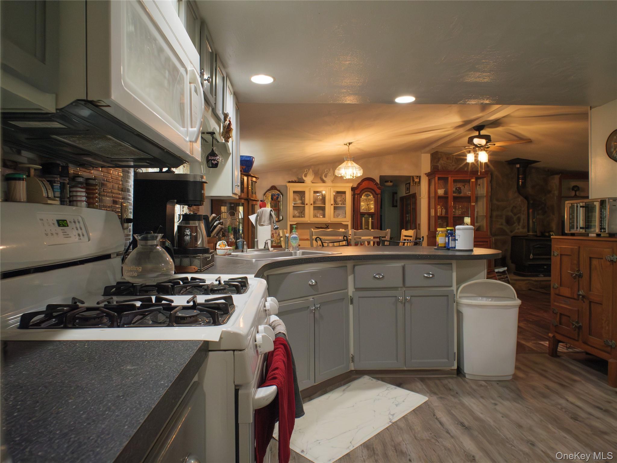 Single Family Route 9g  Dutchess County, NY 12580, MLS-891257-9