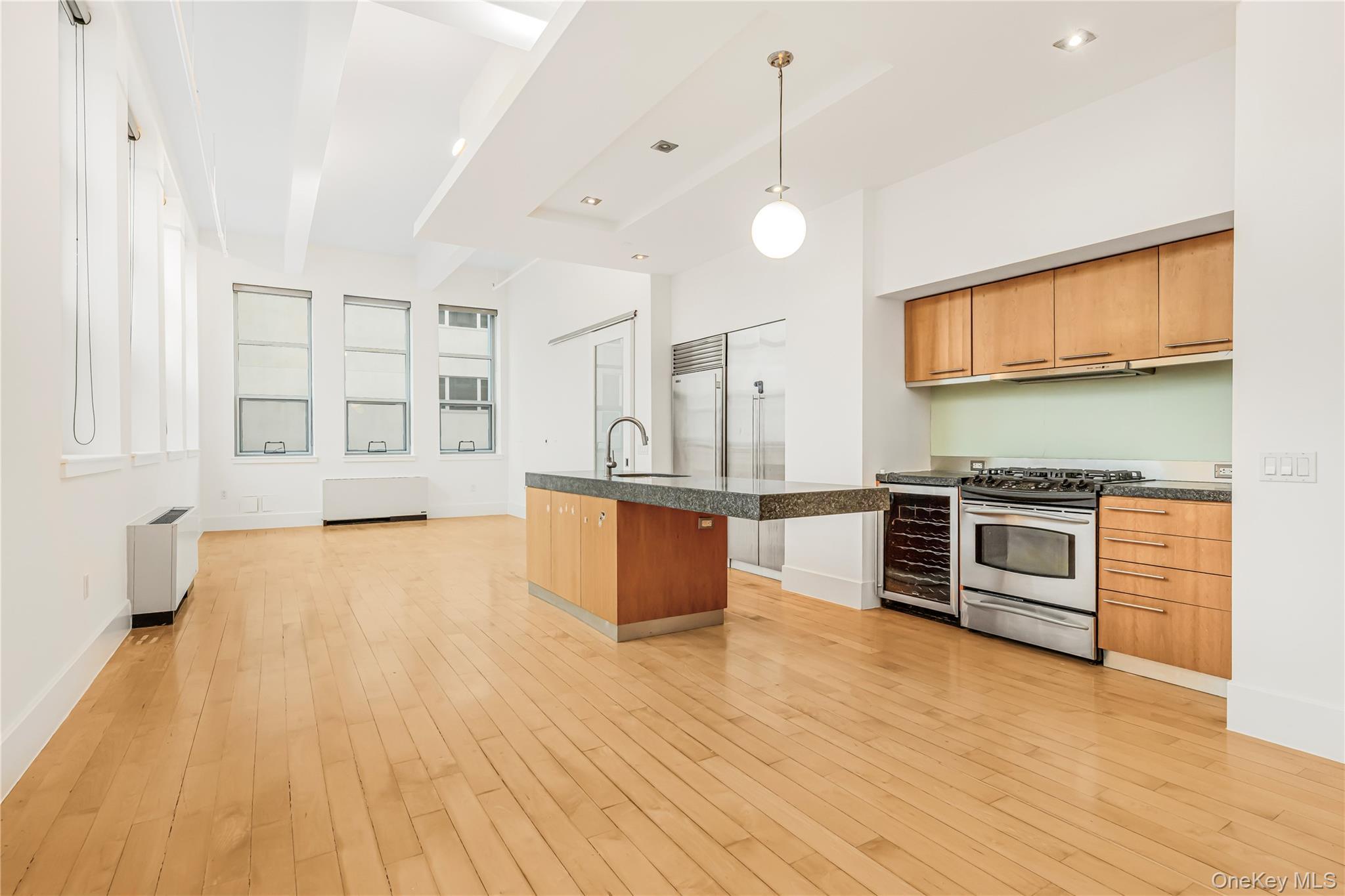 Condo Berry  Brooklyn, NY 11249, MLS-891281-10