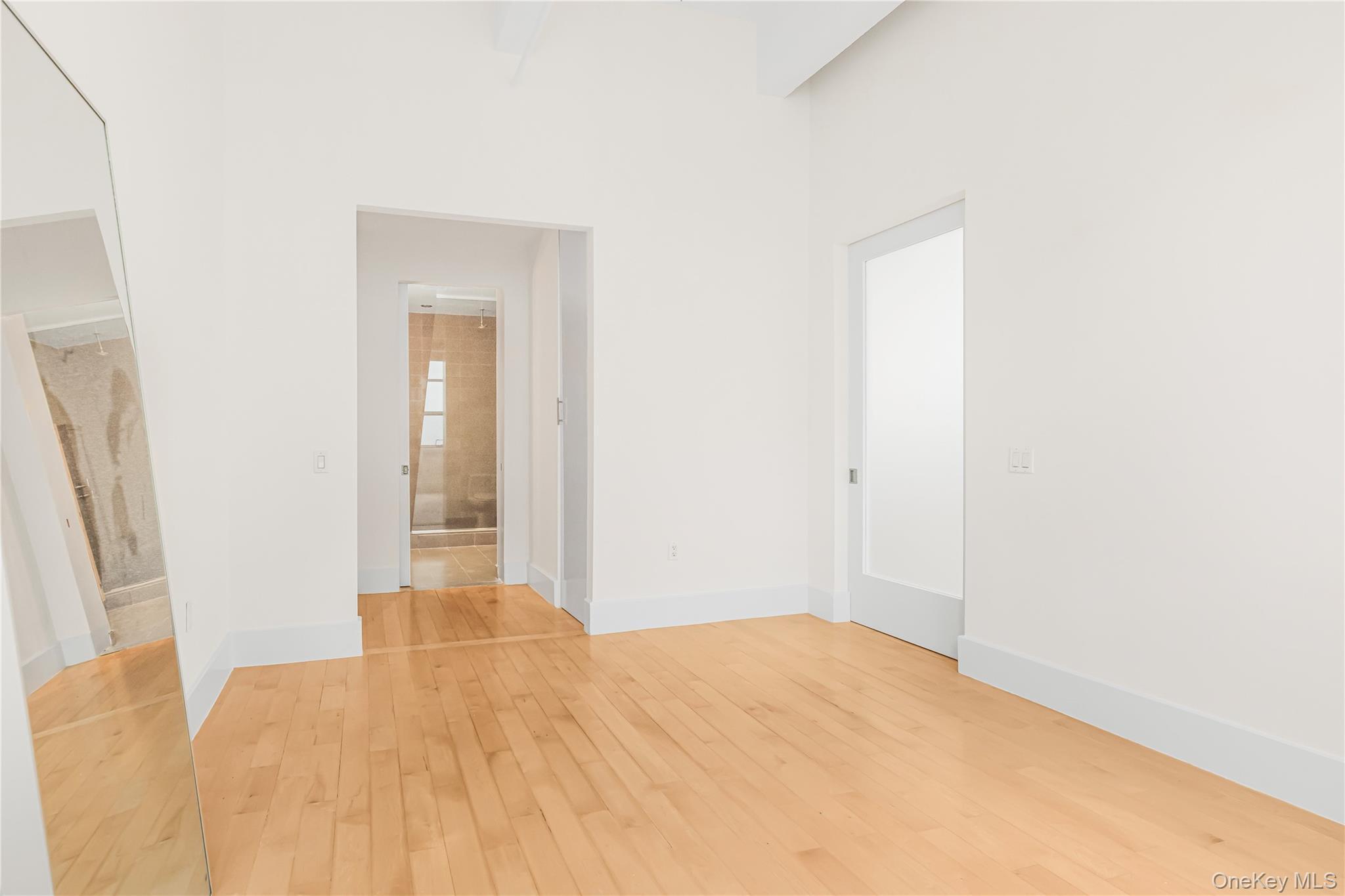 Condo Berry  Brooklyn, NY 11249, MLS-891281-12