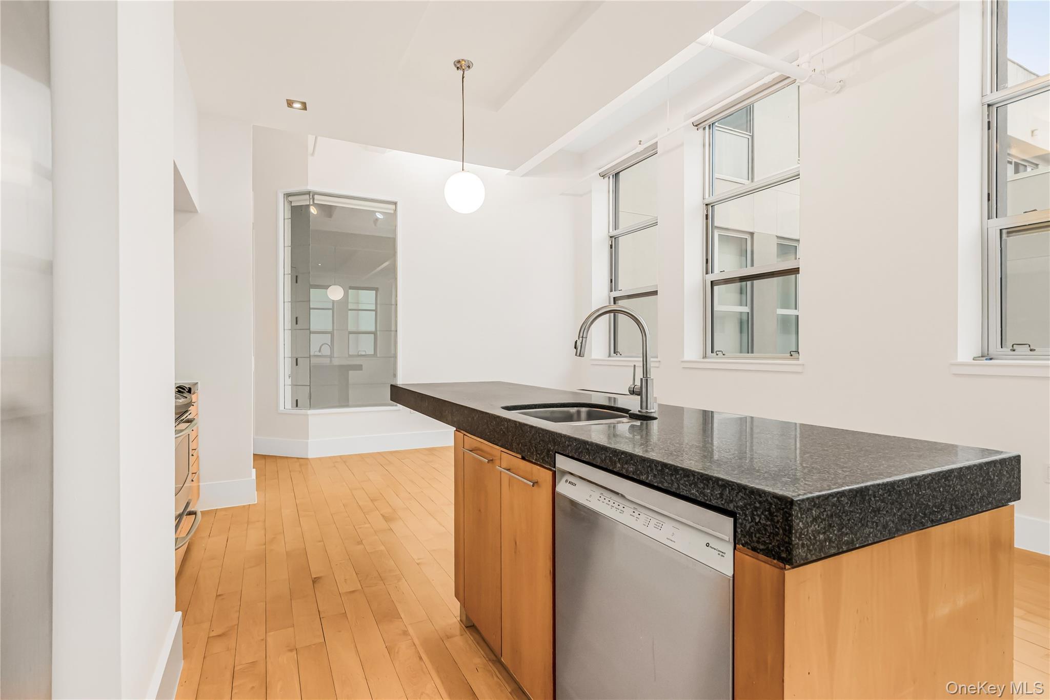 Condo Berry  Brooklyn, NY 11249, MLS-891281-23