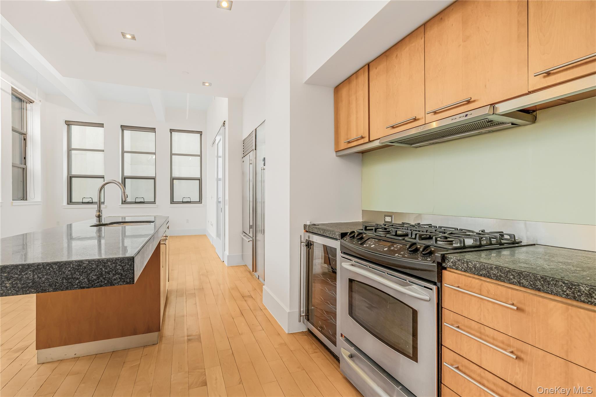 Condo Berry  Brooklyn, NY 11249, MLS-891281-8