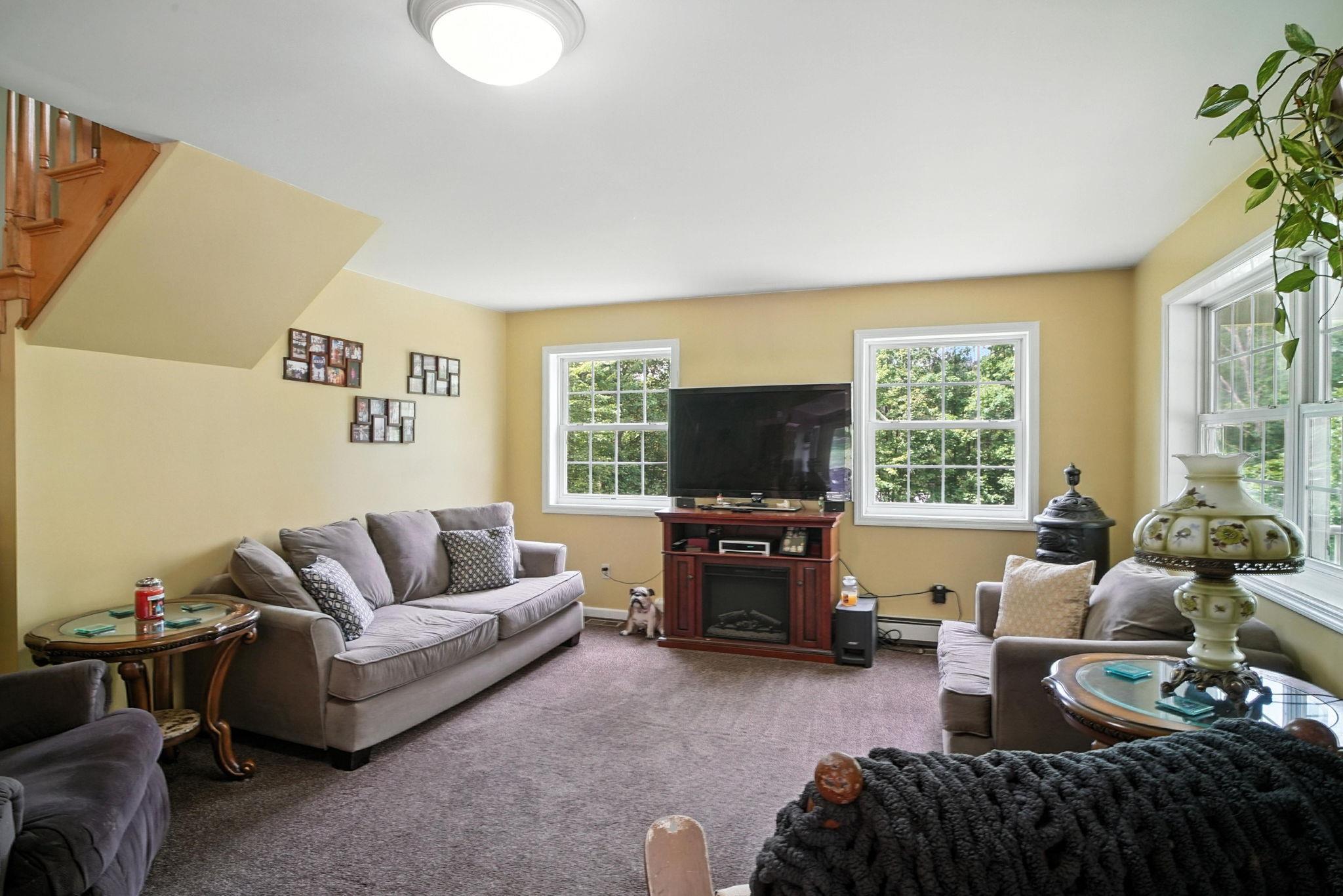 Single Family Sycamore Sullivan County, NY 12790, MLS-891392-9