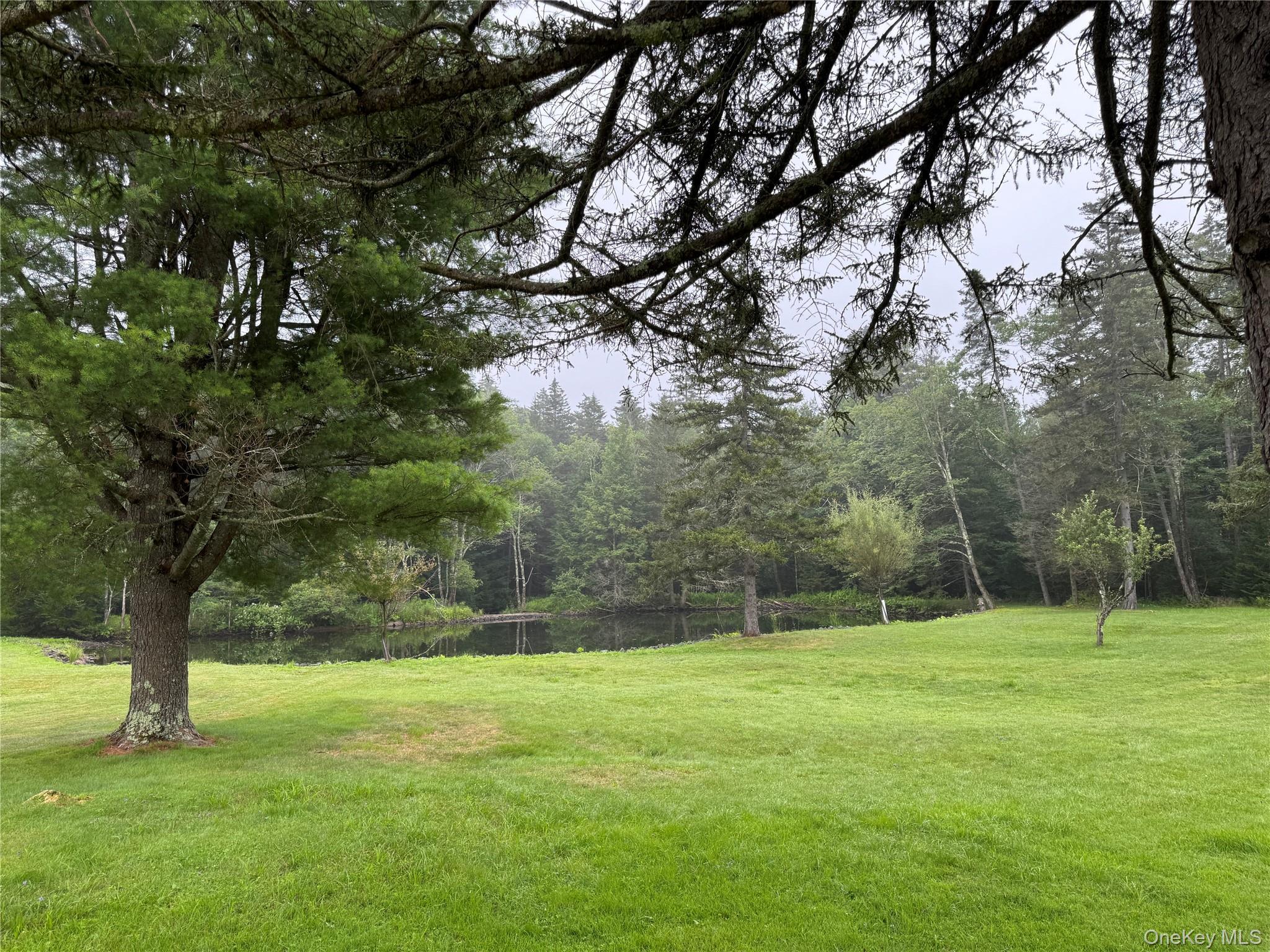 Single Family Cooley  Sullivan County, NY 12768, MLS-891401-19