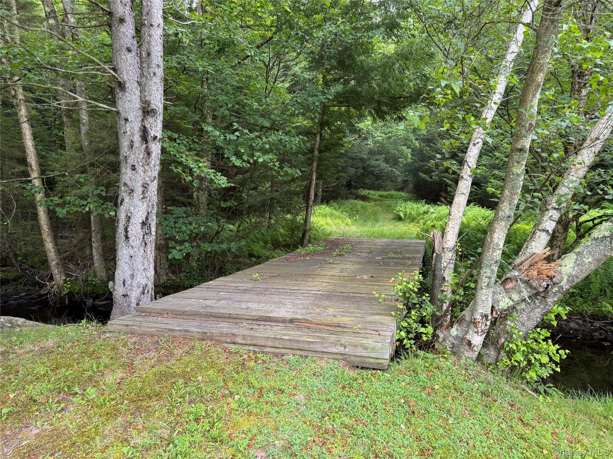 Single Family Cooley  Sullivan County, NY 12768, MLS-891401-21