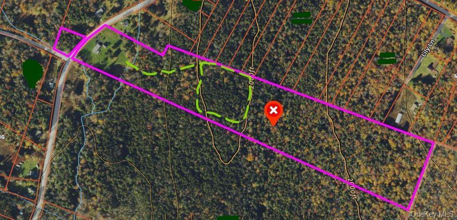 Single Family Cooley  Sullivan County, NY 12768, MLS-891401-24