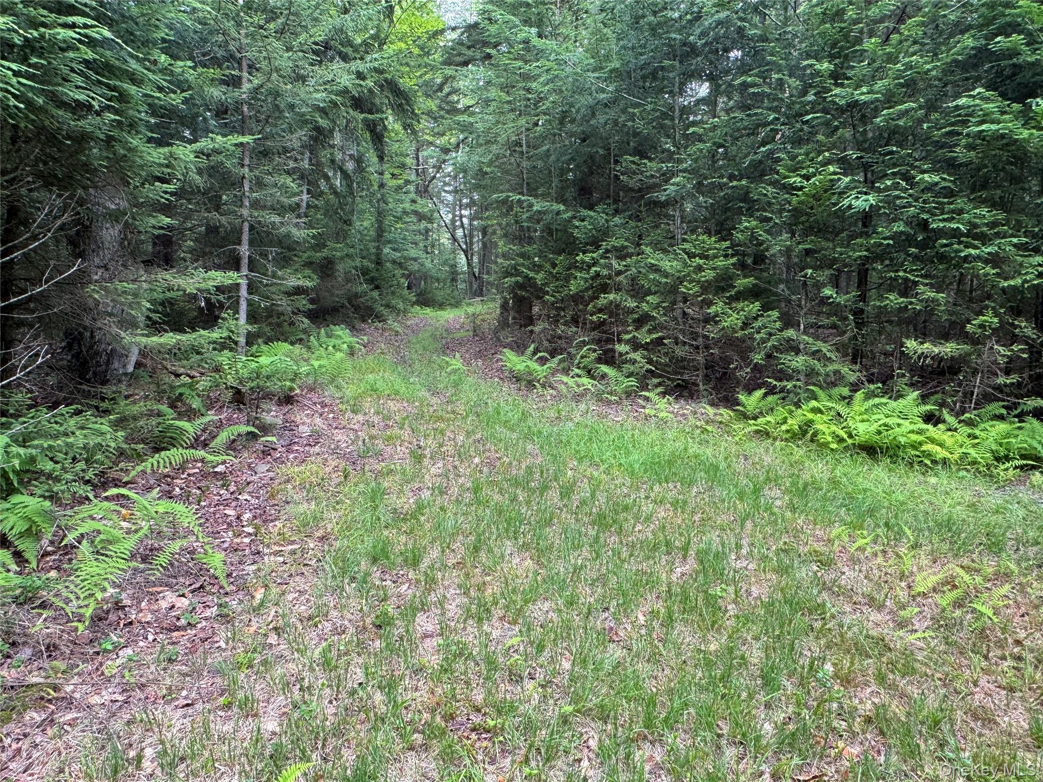 Single Family Cooley  Sullivan County, NY 12768, MLS-891401-26