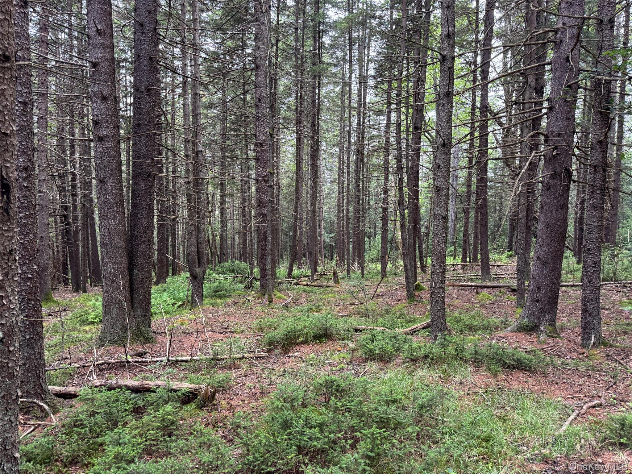 Single Family Cooley  Sullivan County, NY 12768, MLS-891401-27