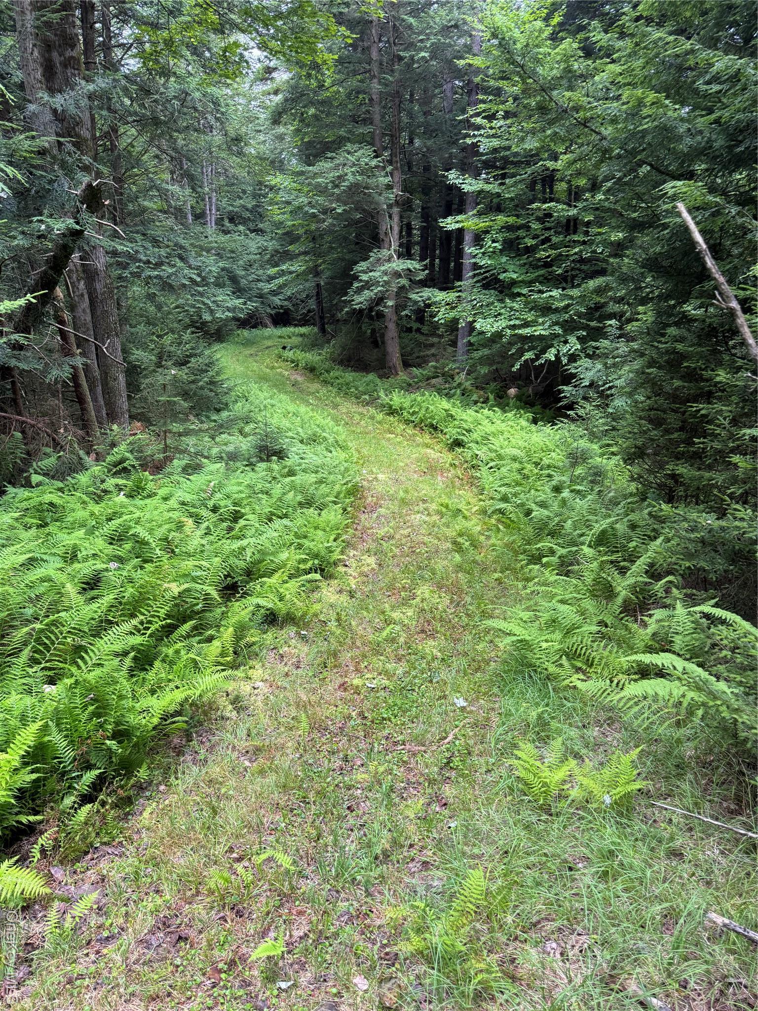 Single Family Cooley  Sullivan County, NY 12768, MLS-891401-28