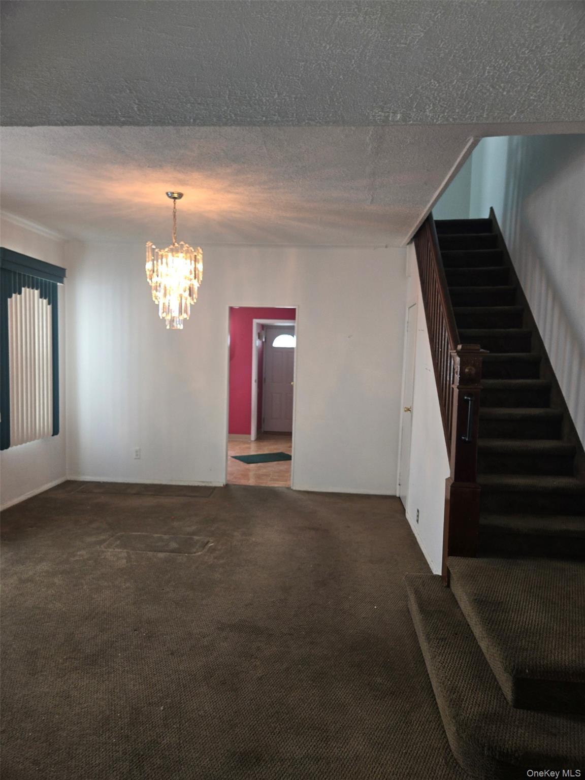 Single Family 79th  Queens, NY 11385, MLS-891436-7