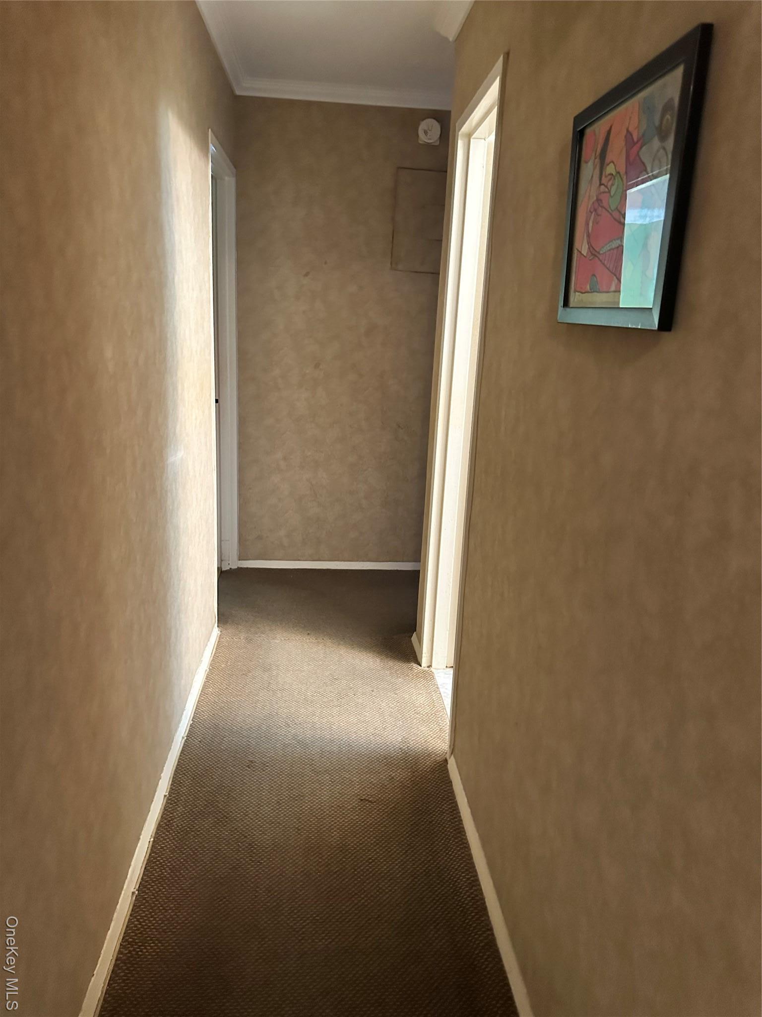 Coop 215  Queens, NY 11360, MLS-891650-14