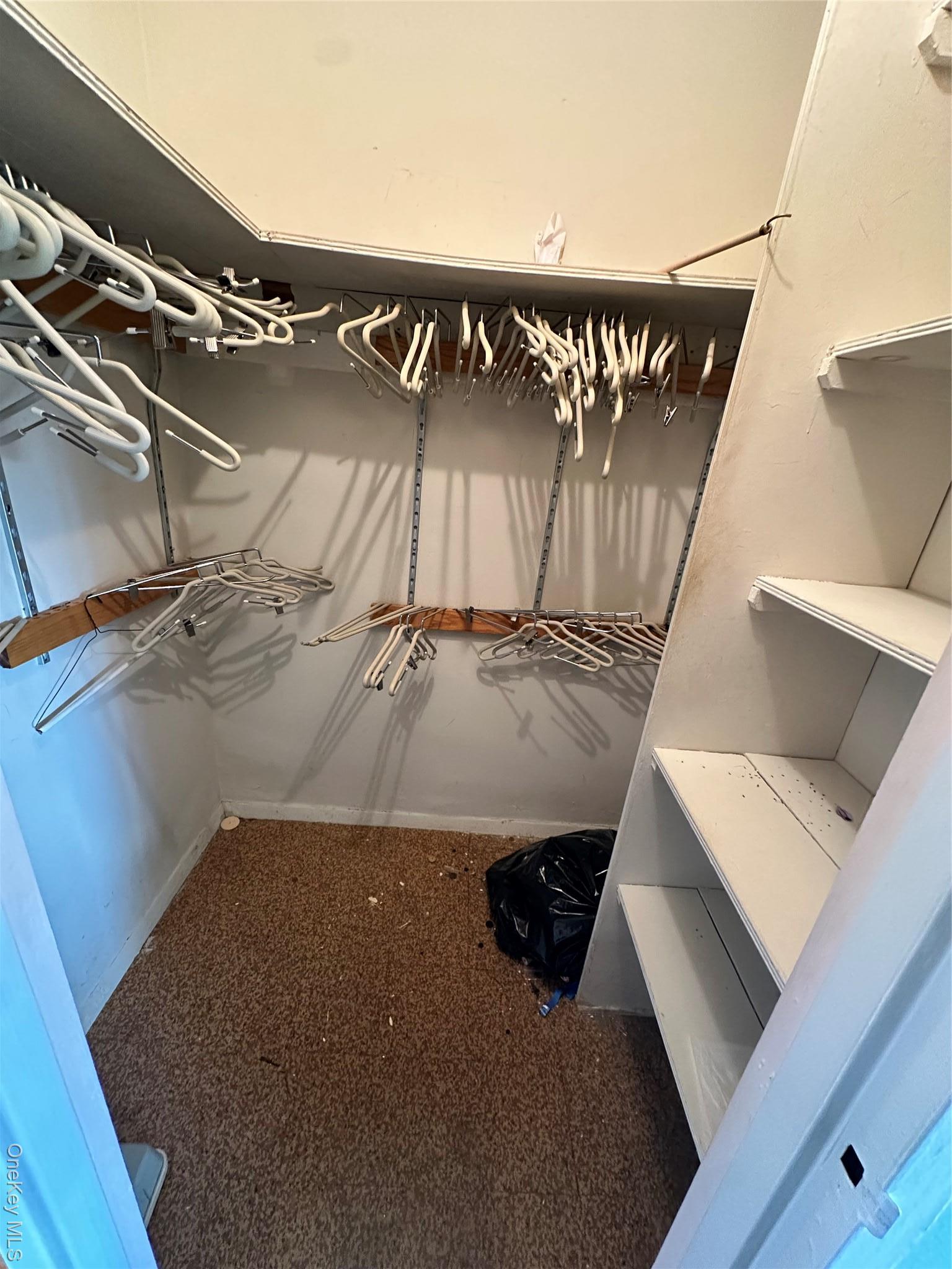 Coop 215  Queens, NY 11360, MLS-891650-17