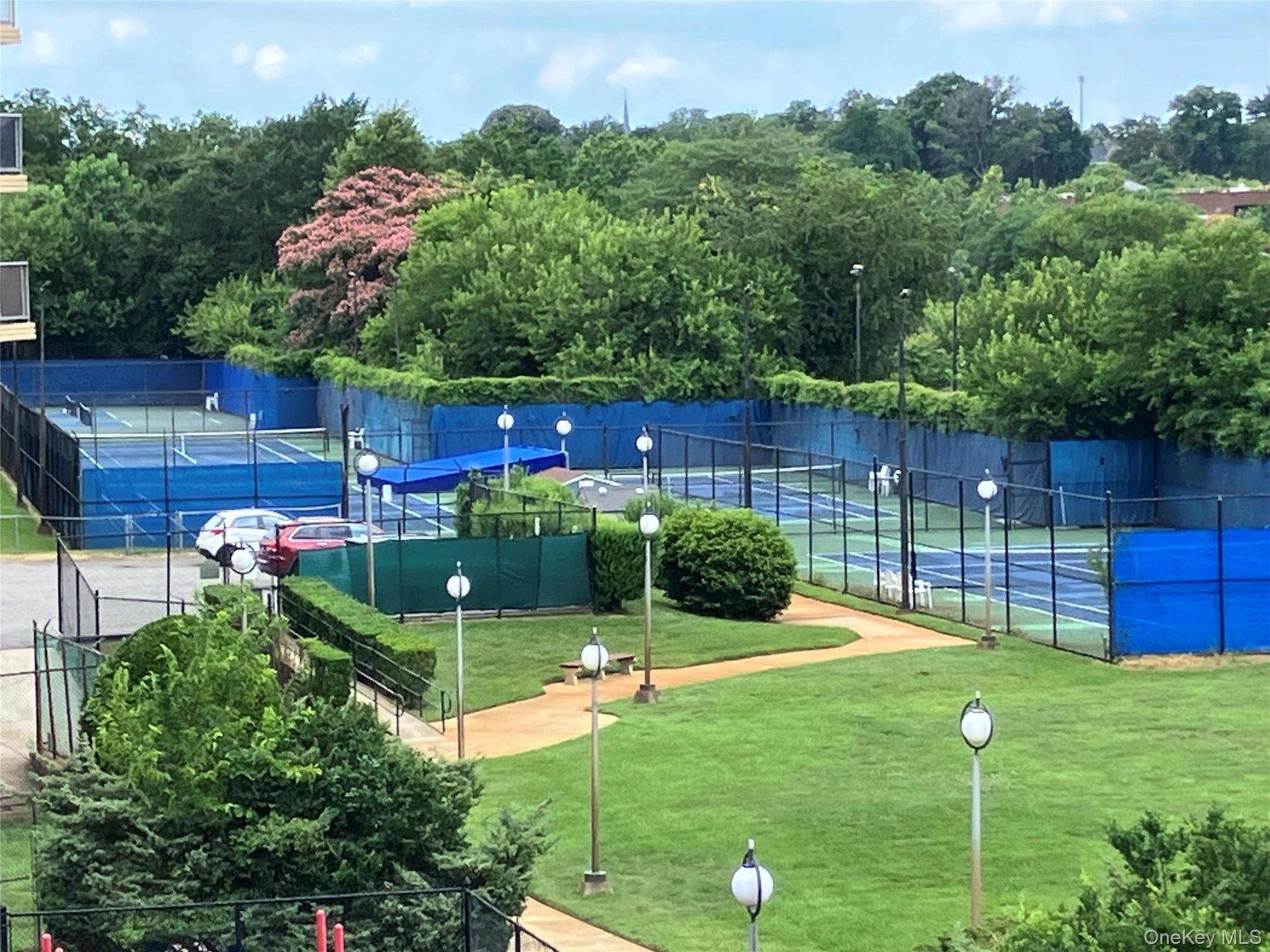 Coop 215  Queens, NY 11360, MLS-891650-27