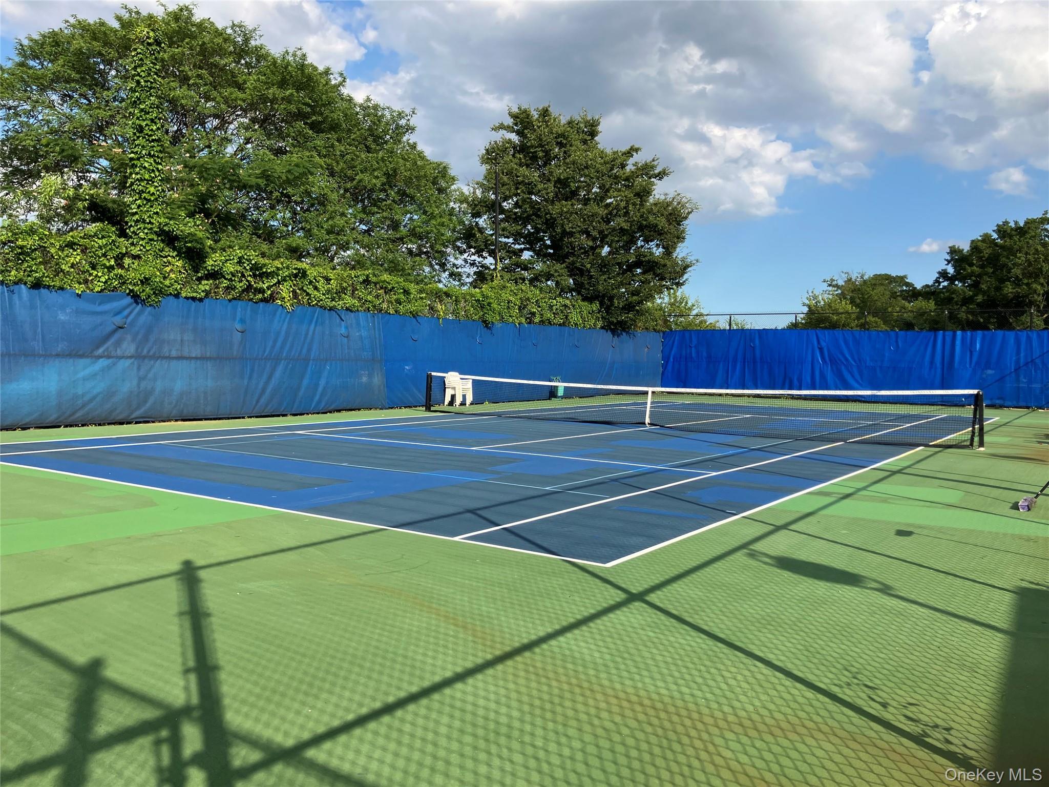 Coop 215  Queens, NY 11360, MLS-891650-28