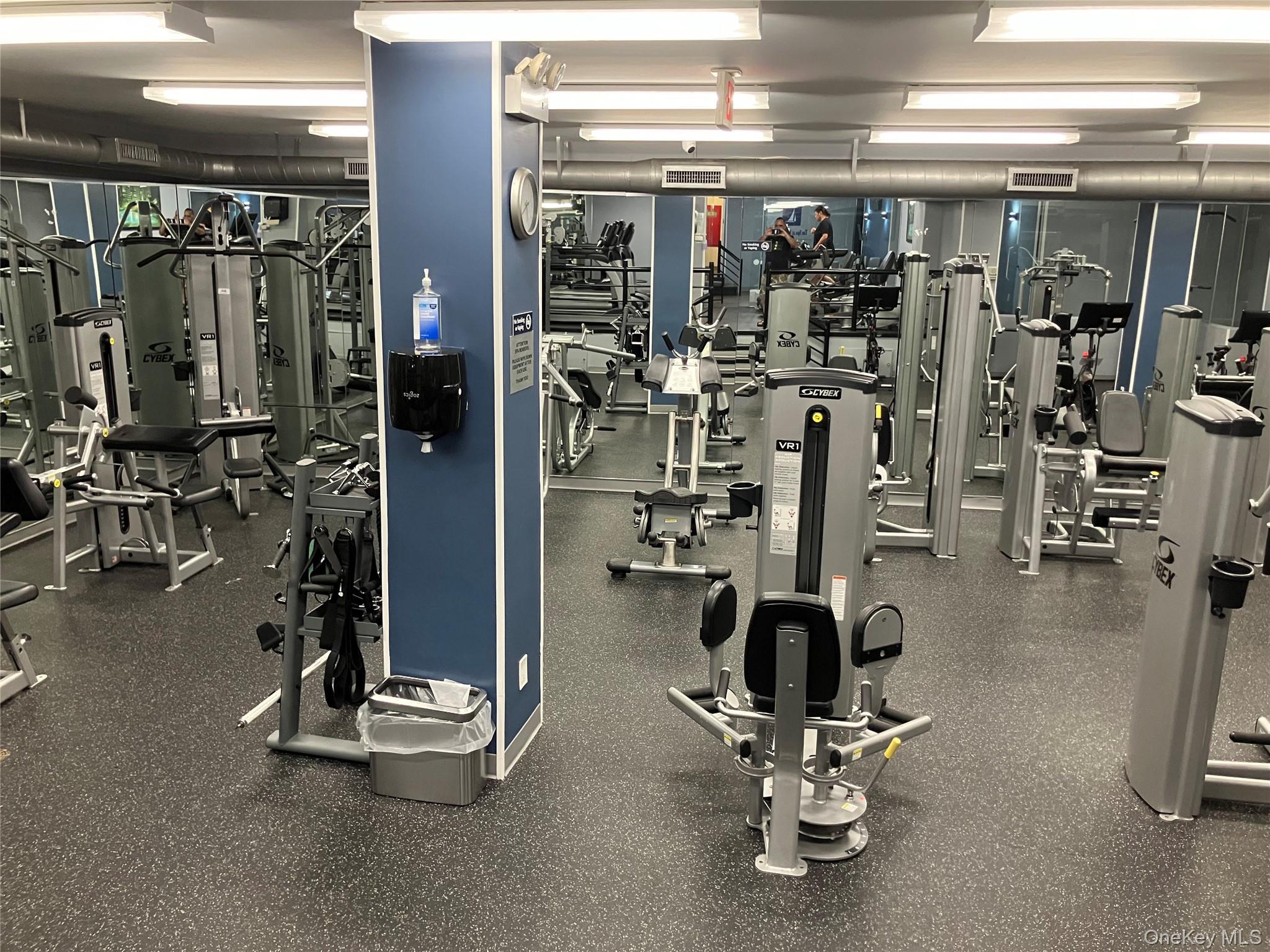 Coop 215  Queens, NY 11360, MLS-891650-34