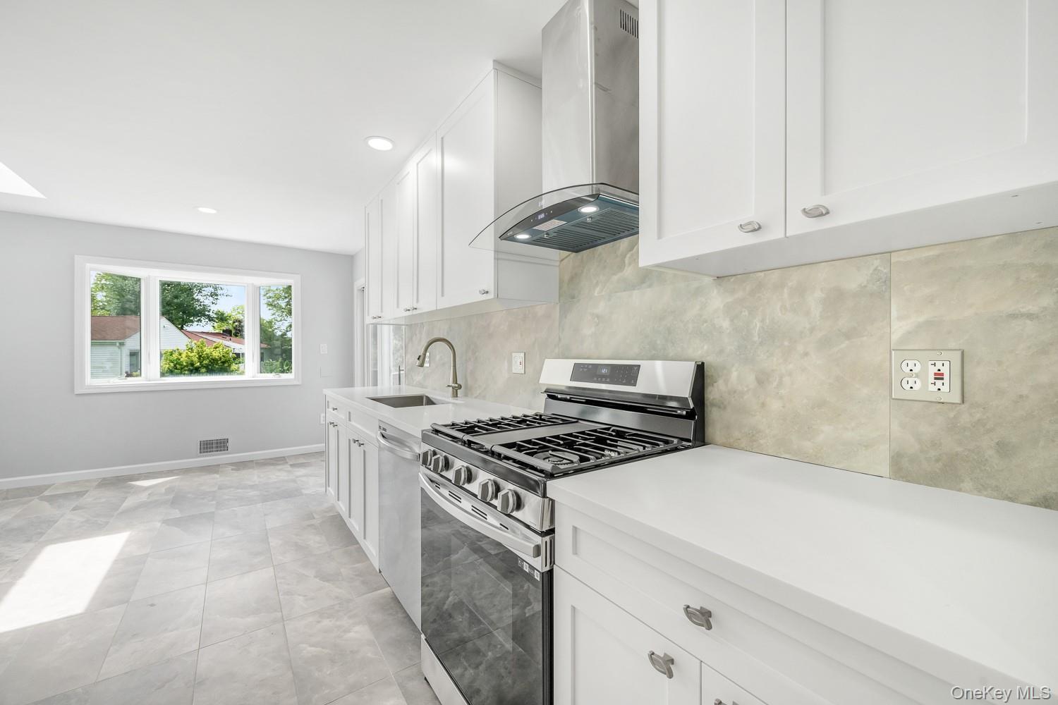 Single Family North Nassau County, NY 11040, MLS-891784-18