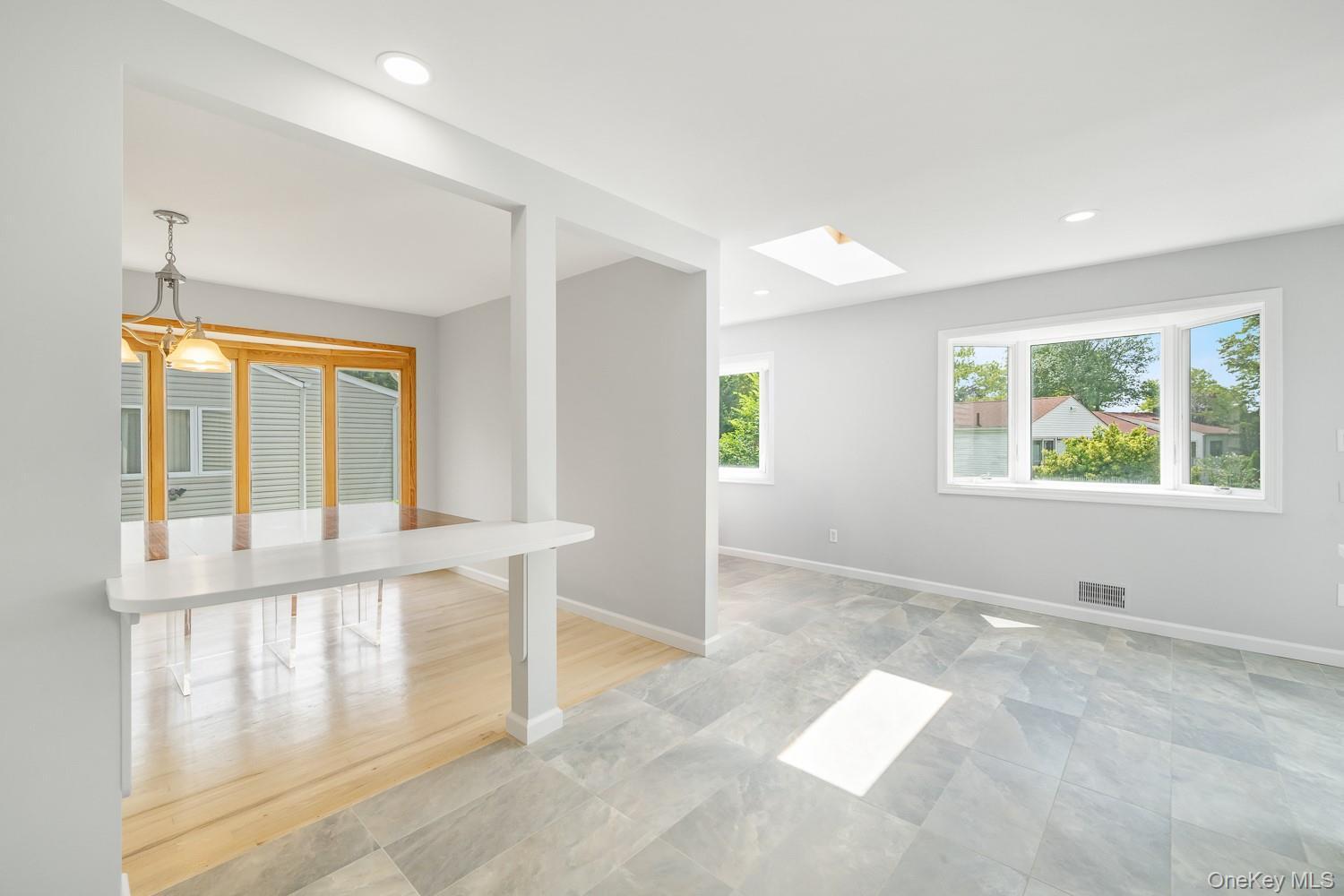 Single Family North Nassau County, NY 11040, MLS-891784-19