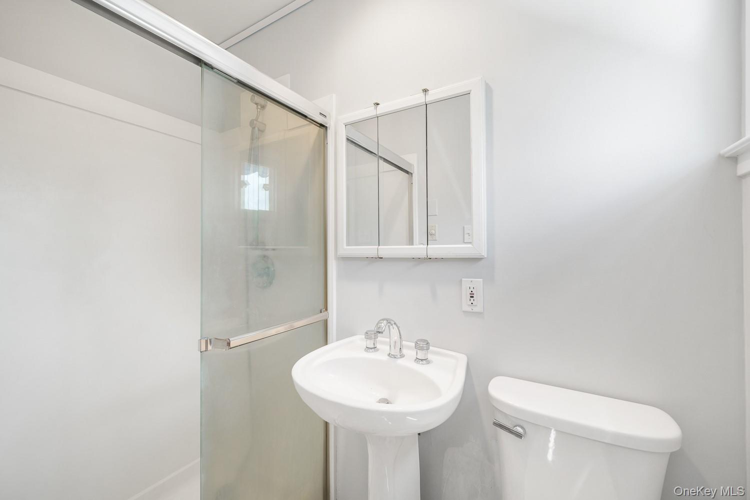 Single Family North Nassau County, NY 11040, MLS-891784-27