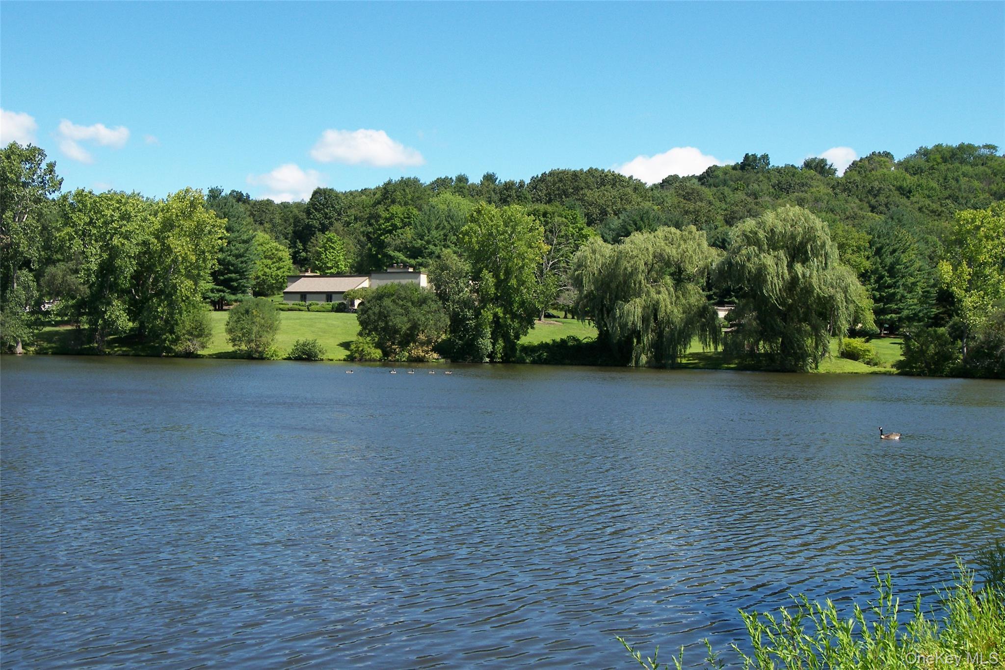 Condo Heritage Hills  Westchester County, NY 10589, MLS-891807-31