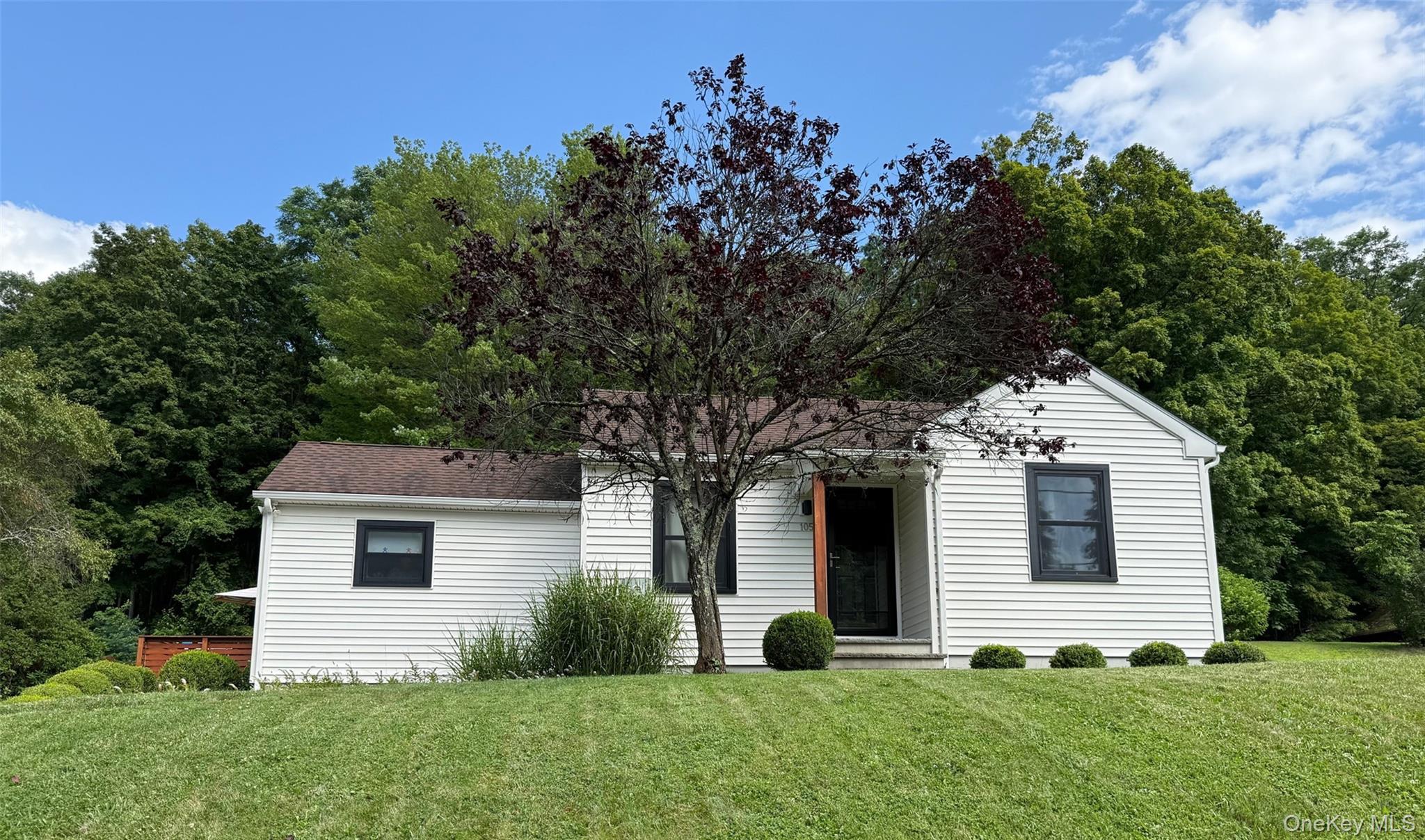 Single Family Nellie Hill  Dutchess County, NY 12522, MLS-891984-23