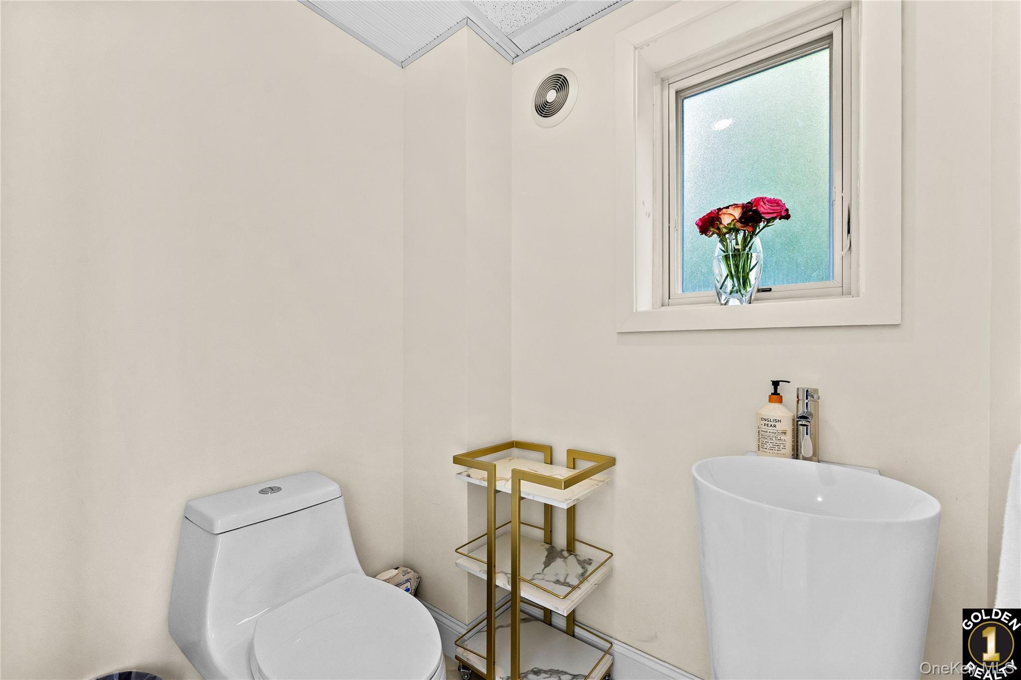 Single Family Mayfair Queens, NY 11418, MLS-892021-10