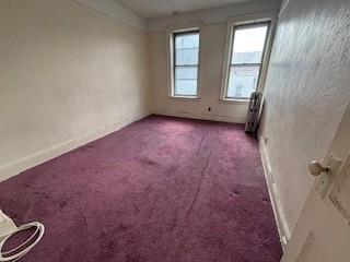 Commercial Sale Kings  Brooklyn, NY 11223, MLS-892319-10