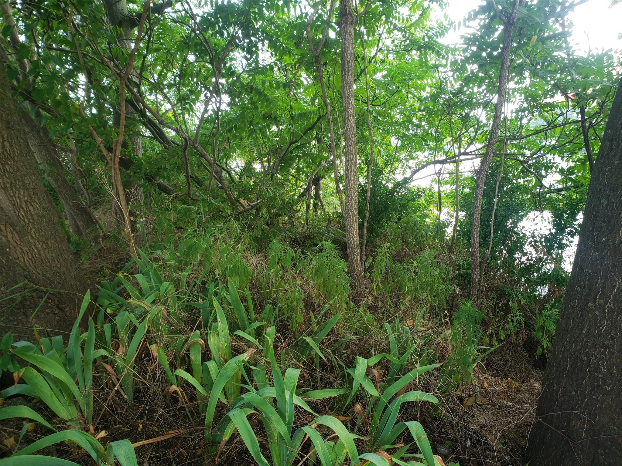 Land Fane Court  Brooklyn, NY , MLS-892419-8