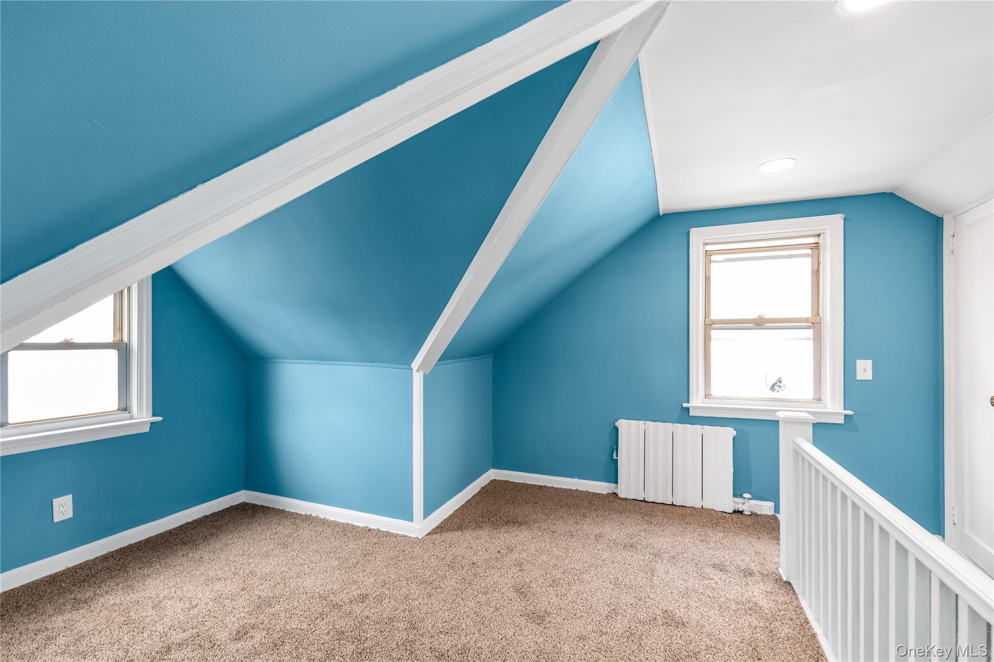 Single Family Litchfield Nassau County, NY 11003, MLS-892483-13