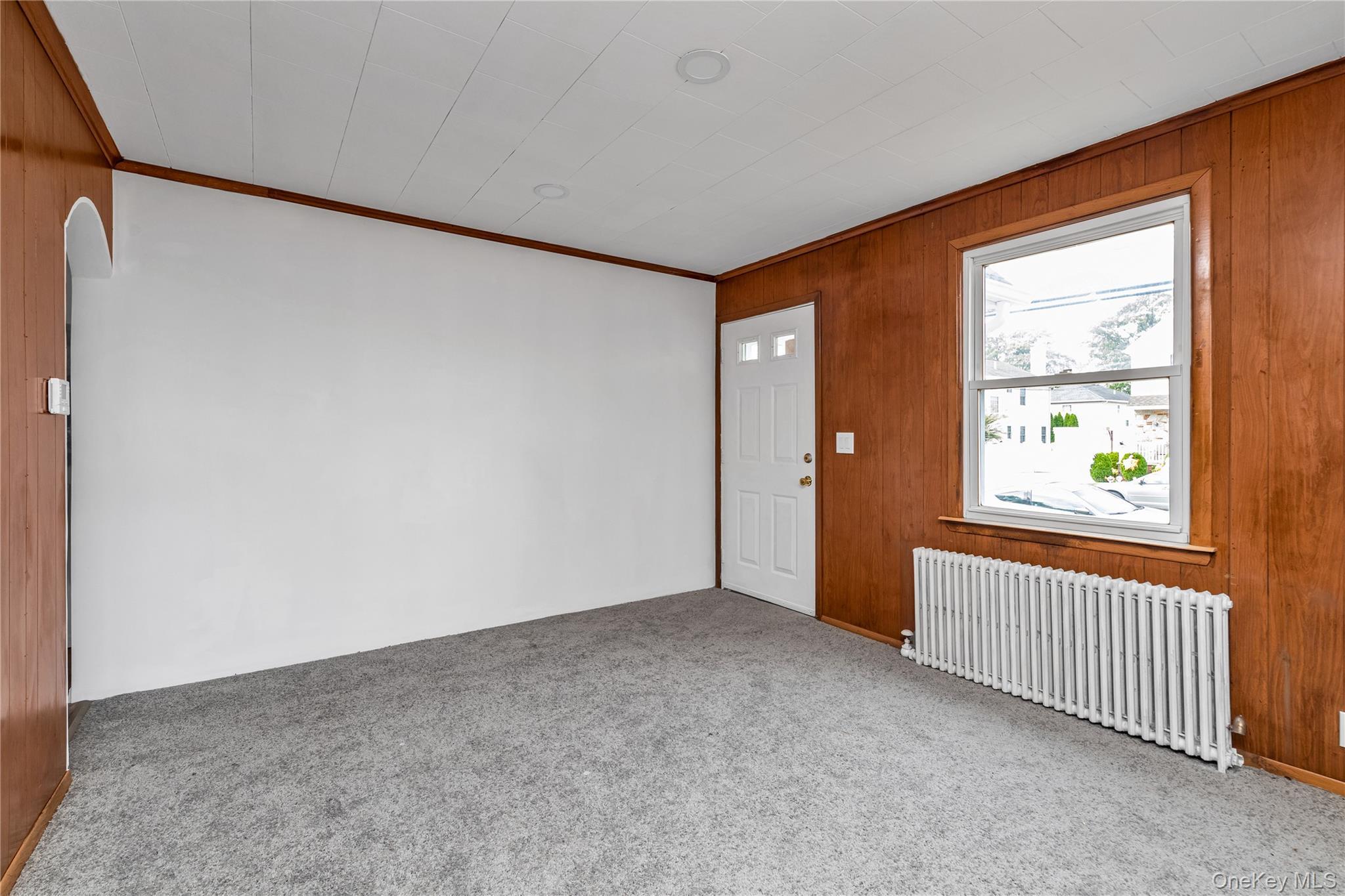 Single Family Litchfield Nassau County, NY 11003, MLS-892483-3