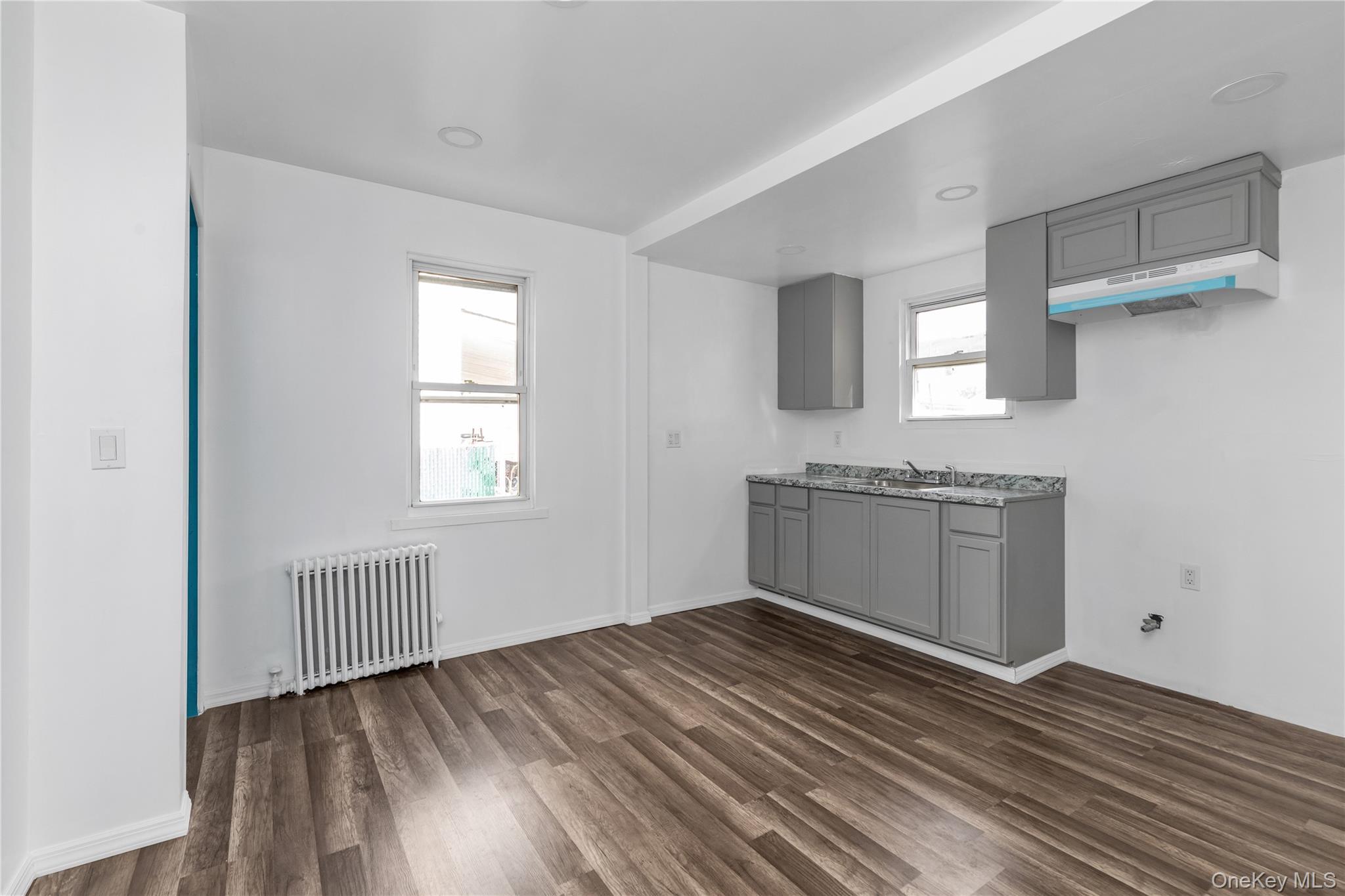 Single Family Litchfield Nassau County, NY 11003, MLS-892483-5