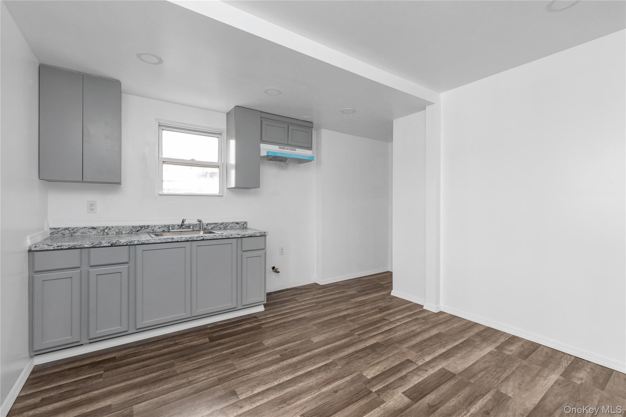 Single Family Litchfield Nassau County, NY 11003, MLS-892483-6