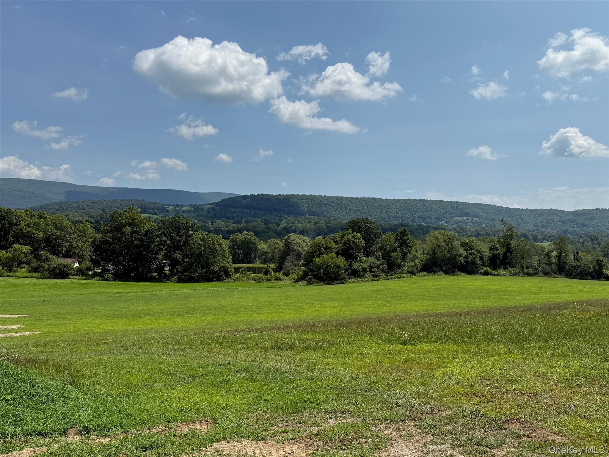 Single Family Ancram Columbia County, NY 12503, MLS-892689-12