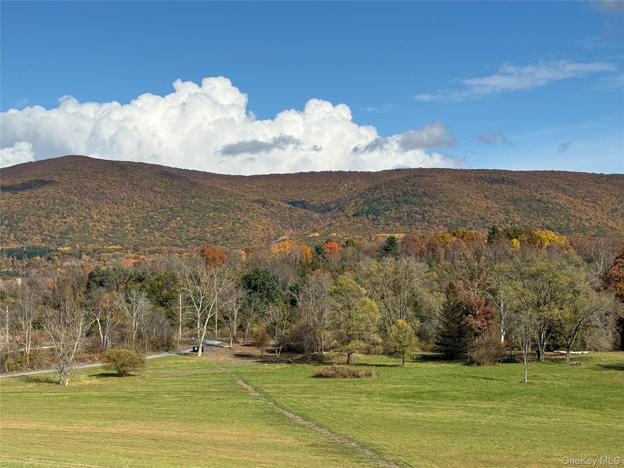 Single Family Ancram Columbia County, NY 12503, MLS-892689-15