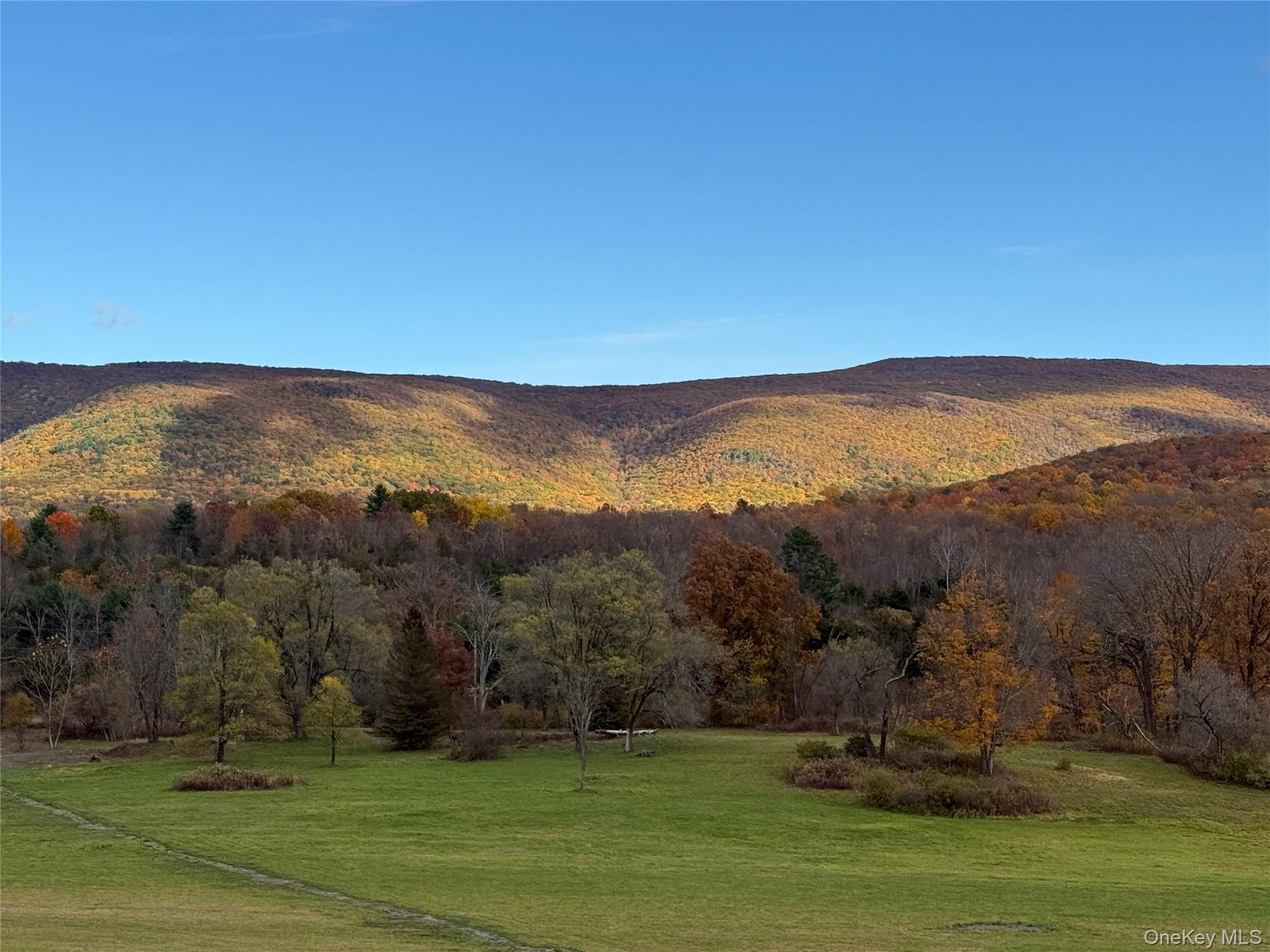 Single Family Ancram Columbia County, NY 12503, MLS-892689-17