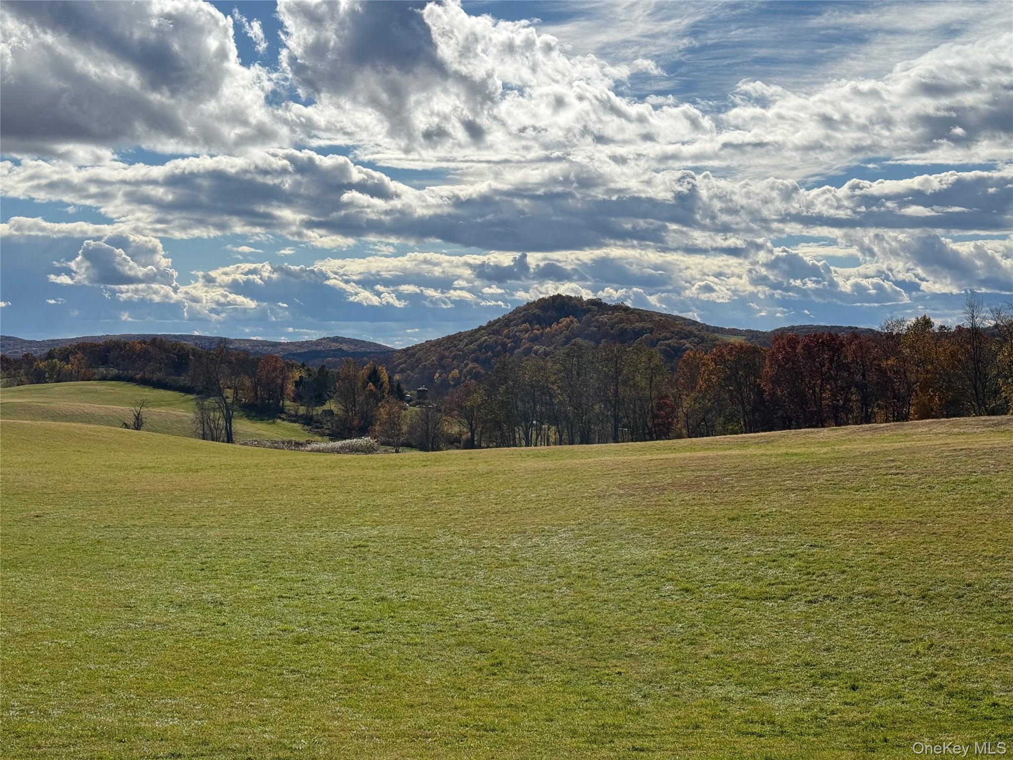 Single Family Ancram  Columbia County, NY 12503, MLS-892689-19