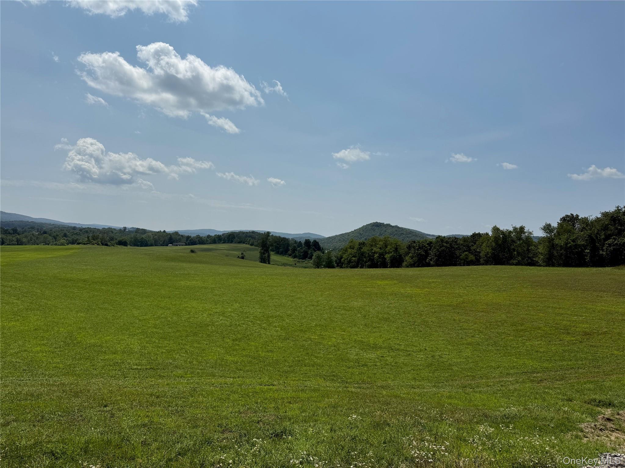 Single Family Ancram Columbia County, NY 12503, MLS-892689-3