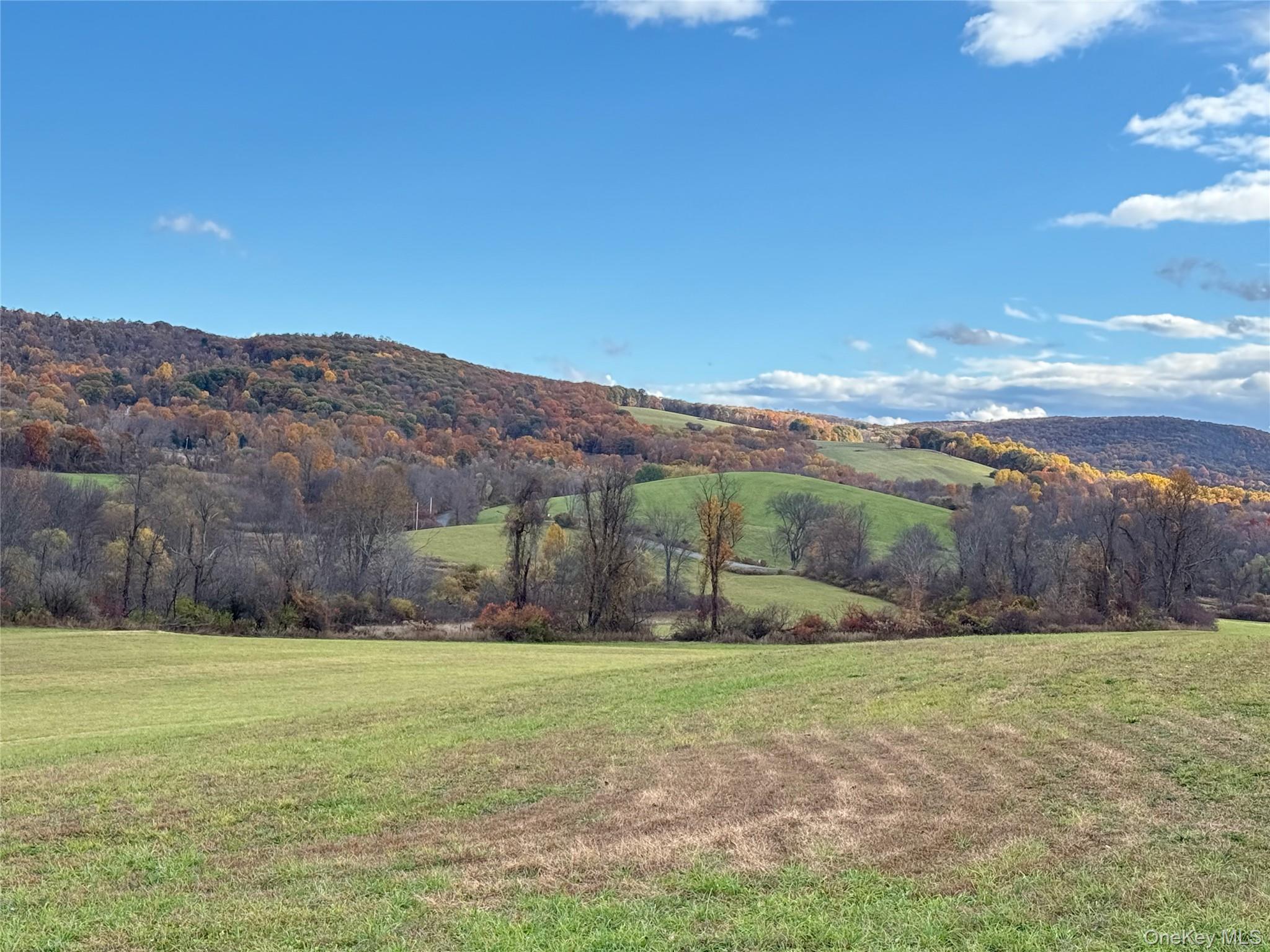 Single Family Ancram Columbia County, NY 12503, MLS-892689-6