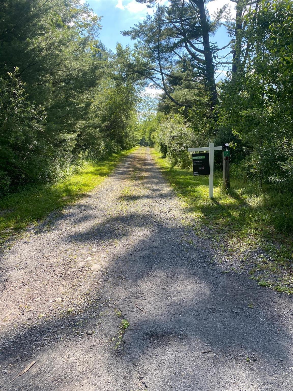 Single Family Seide  Greene County, NY 12442, MLS-892949-21