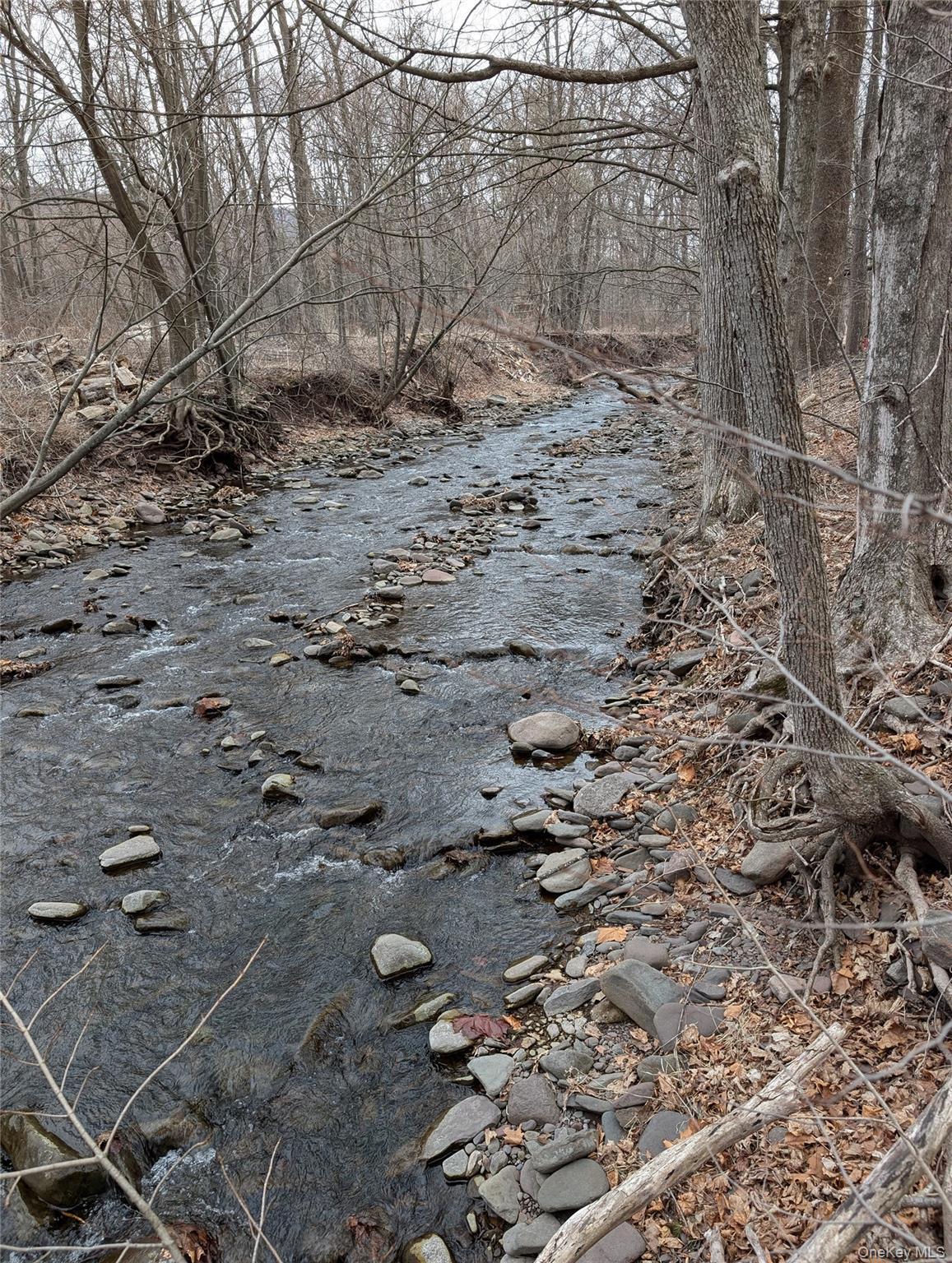 Single Family Hearts Content  Greene County, NY 12473, MLS-892979-2