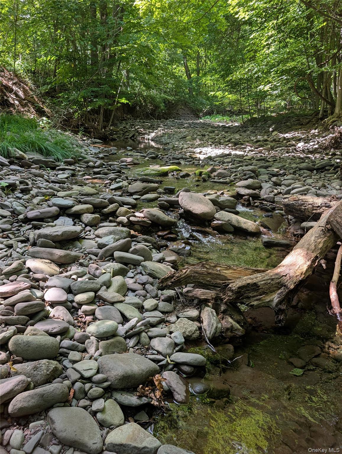 Single Family Hearts Content  Greene County, NY 12473, MLS-892979-4