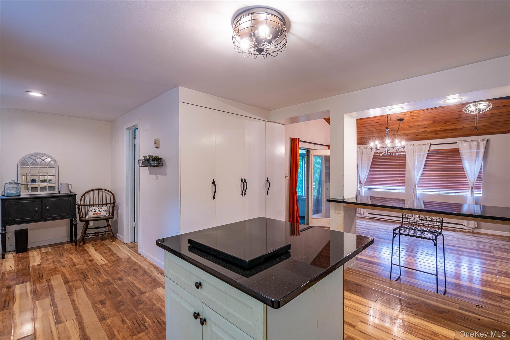 Single Family Edwards Ulster County, NY 12547, MLS-893591-8