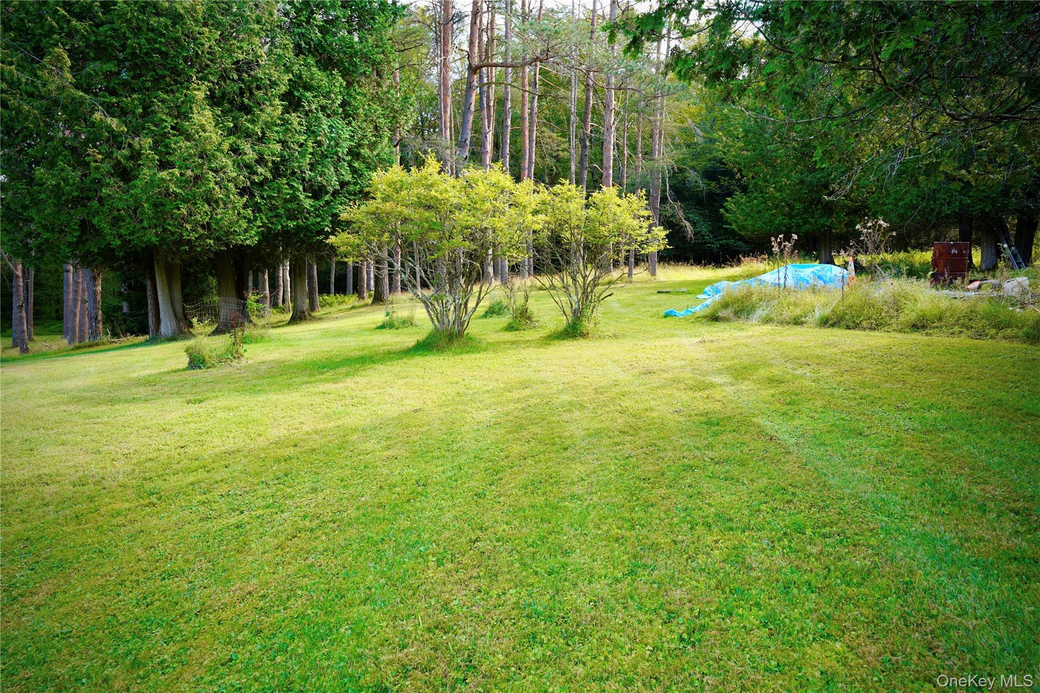 Single Family Shandelee Sullivan County, NY 12758, MLS-893662-14