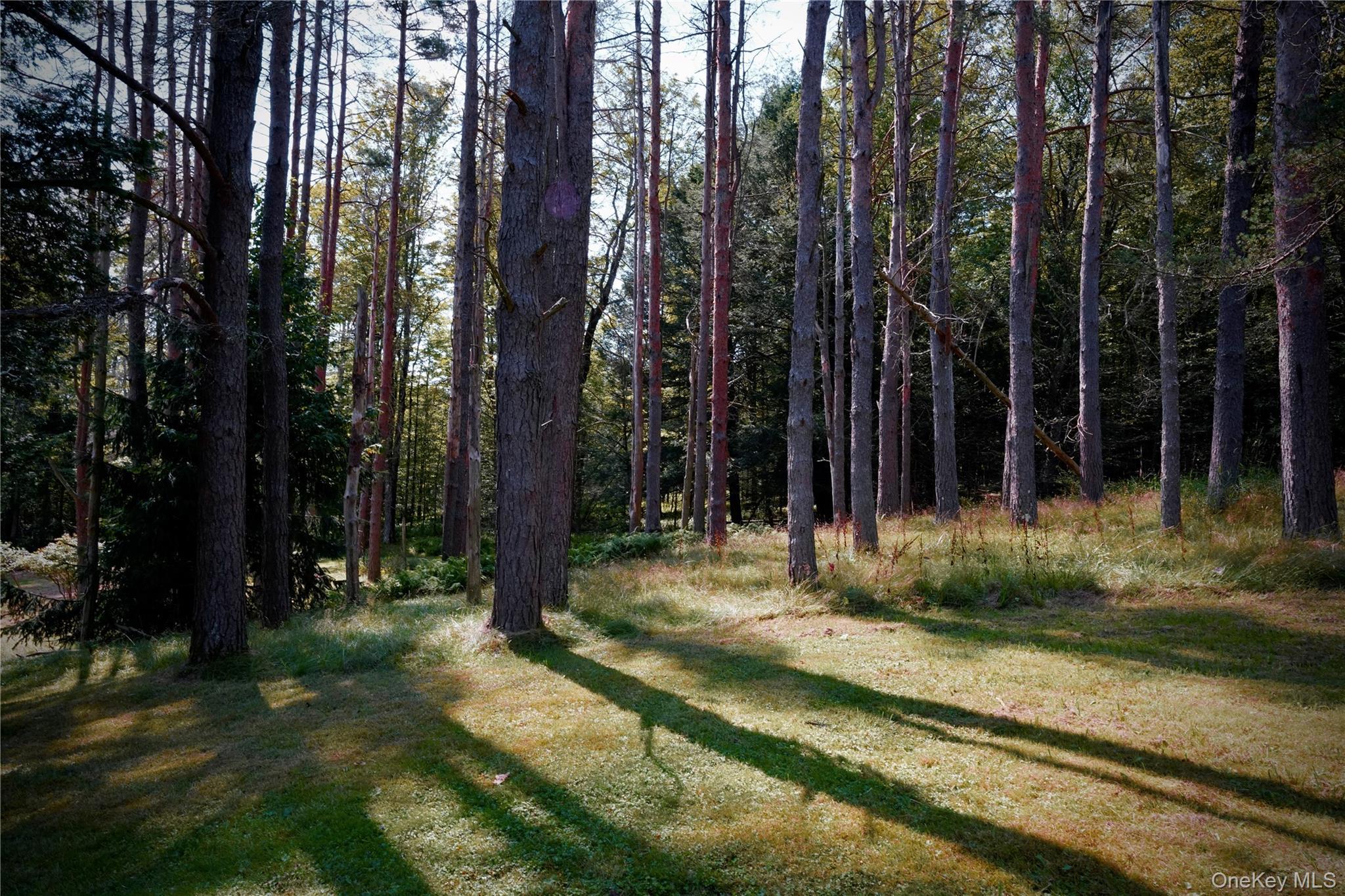 Single Family Shandelee Sullivan County, NY 12758, MLS-893662-15