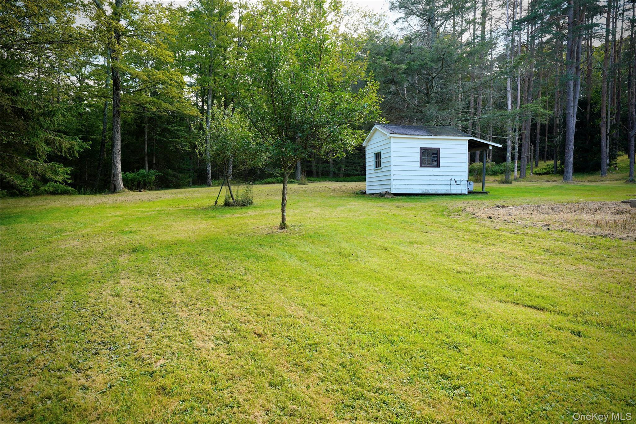 Single Family Shandelee Sullivan County, NY 12758, MLS-893662-18