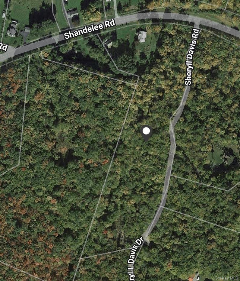 Single Family Shandelee  Sullivan County, NY 12758, MLS-893662-46