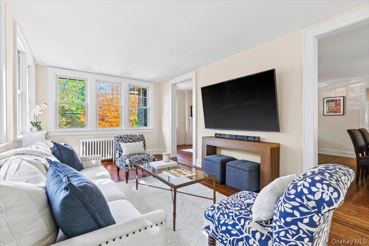 Single Family The Parkway Westchester County, NY 10543, MLS-893755-10